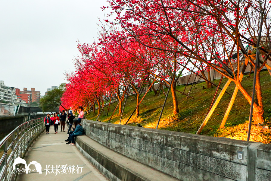 【台北景點】內湖樂活公園夜櫻季｜城市裡也能賞櫻浪漫櫻花步道就在捷運東湖站