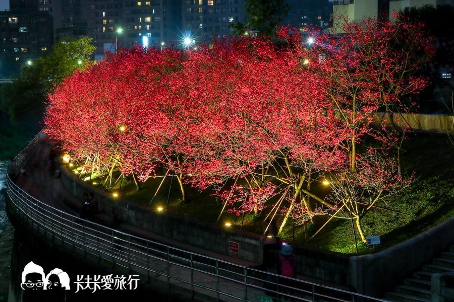 【台北景點】內湖樂活公園夜櫻季｜城市裡也能賞櫻浪漫櫻花步道就在捷運東湖站