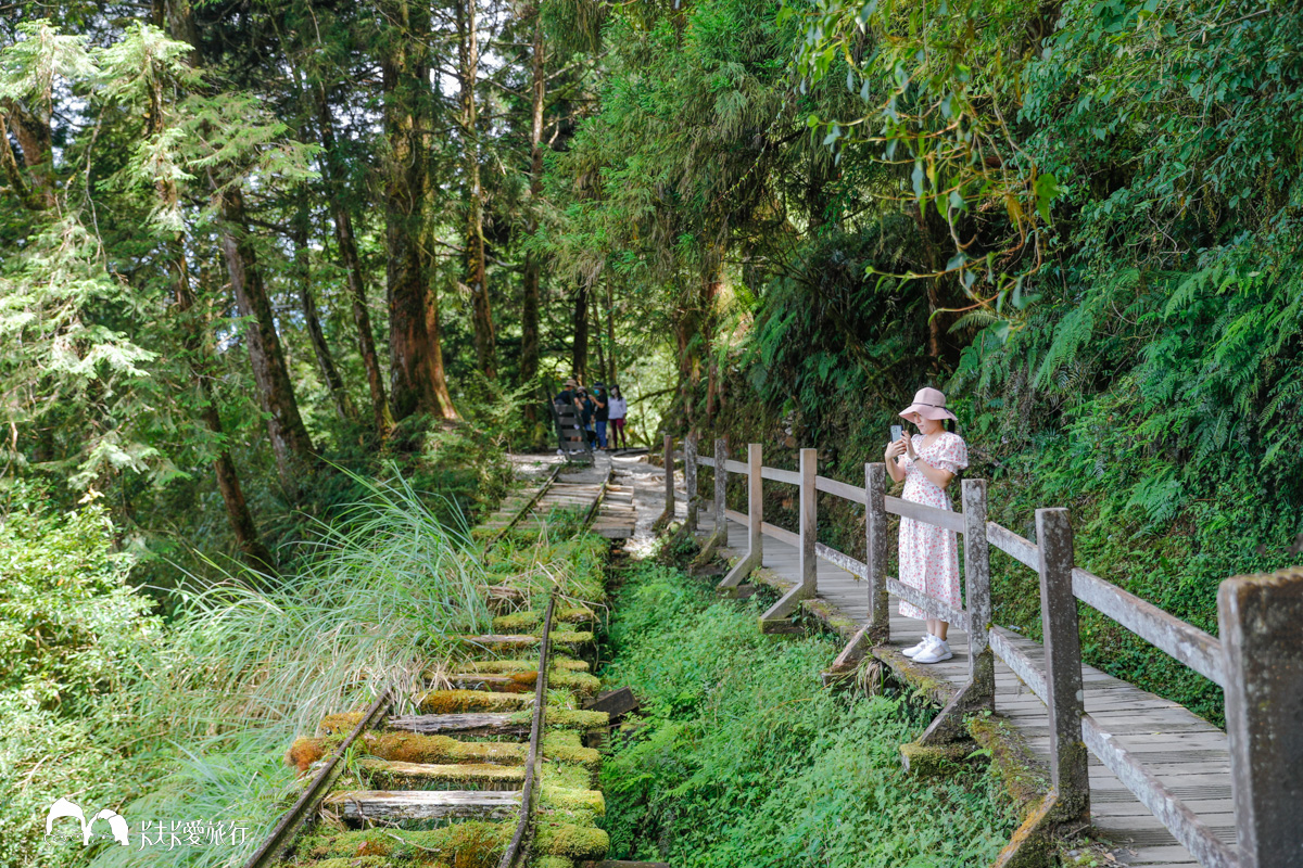 宜蘭太平山見晴懷古步道，絕美全球最美小路之一迷霧夢幻鐵道景點
