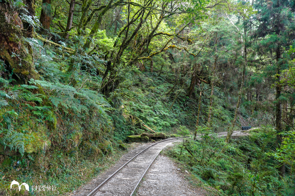 宜蘭太平山見晴懷古步道，絕美全球最美小路之一迷霧夢幻鐵道景點