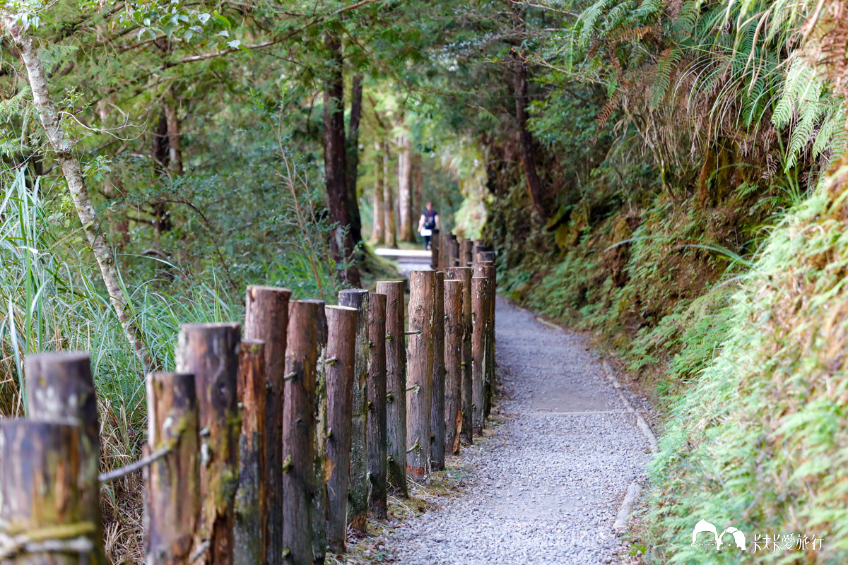 宜蘭太平山翠峰湖環山步道，全球首條寧靜步道絕美仙境湖景交通時間管制