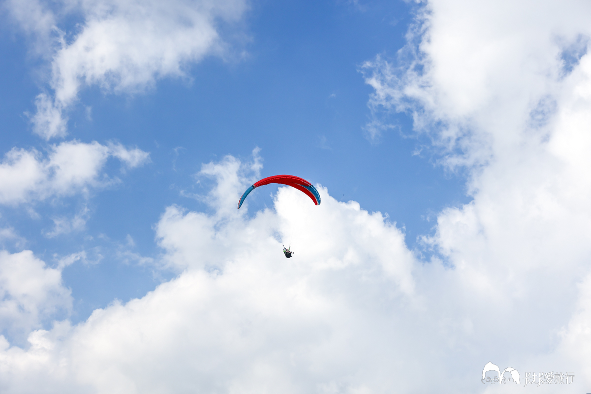 台東鹿野景點懶人包一日遊行程，飛行傘遊鹿野高台採茶體驗城鄉島遊