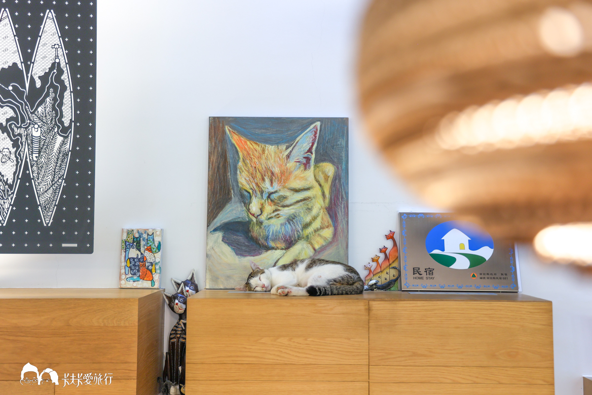 南投日月潭朵麗絲的家，貓奴必訪質感設計貓咪寵物友善民宿評價 - kafkalin.com