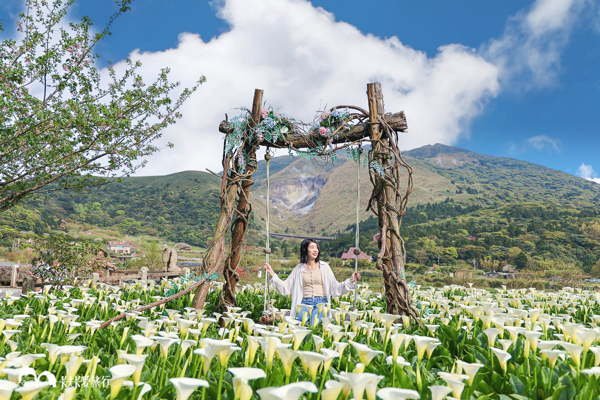 陽明山海芋竹子湖花季｜最美打卡點名陽匍農莊+豆留森林竹子湖怎麼玩一日遊