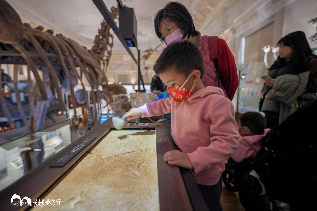 臺灣博物館古生物館，台北親子景點恐龍展暴龍化石門票票價