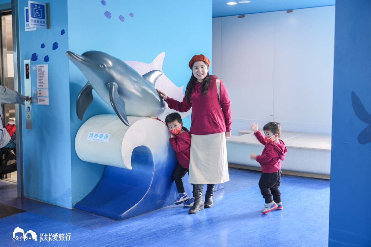 新北野柳海洋世界，親子景點海豚表演水族館門票票價停留時間 - kafkalin.com