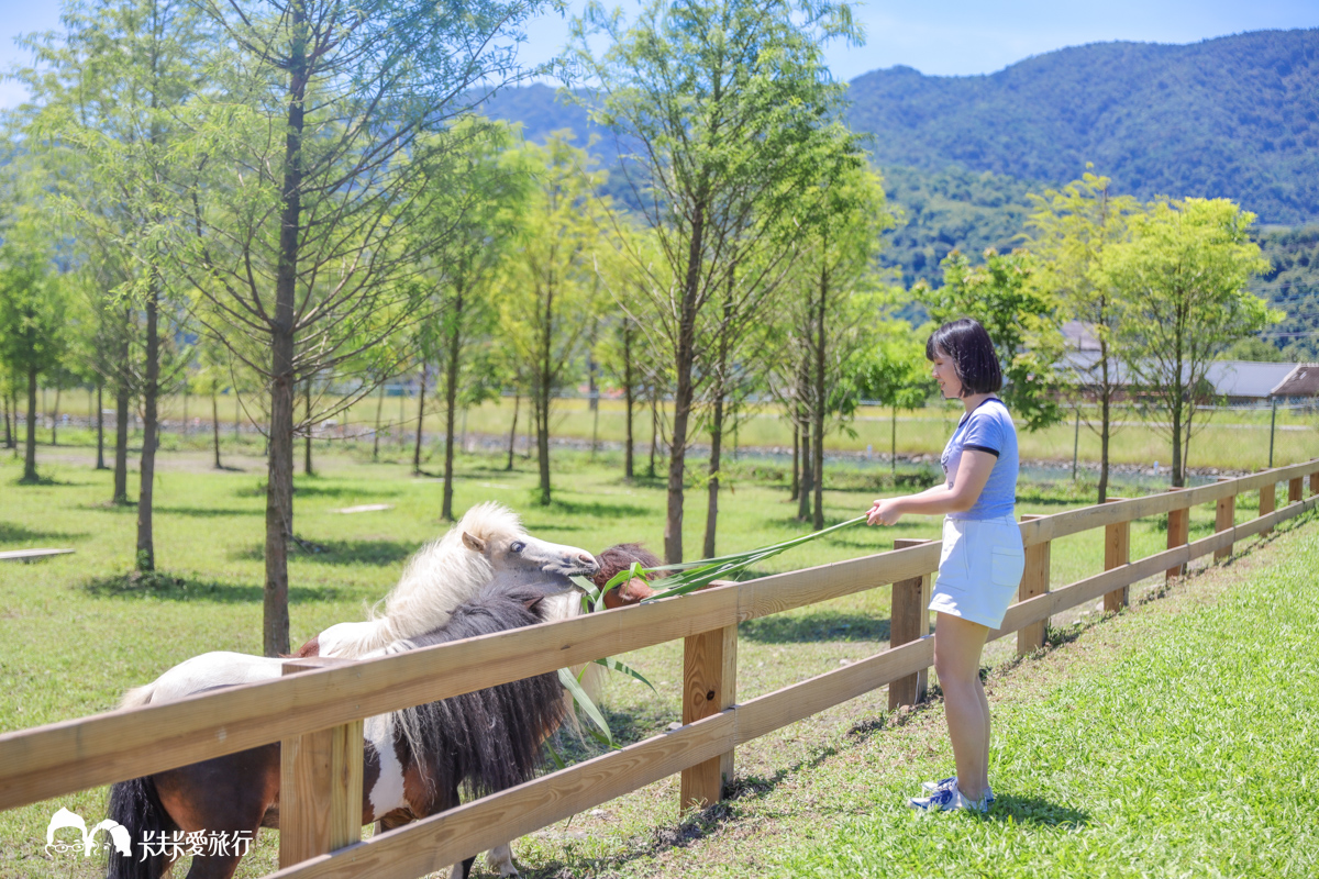宜蘭親子景點稻庄休閒農場，超好玩拖拉機餵馬水豚狐獴體驗