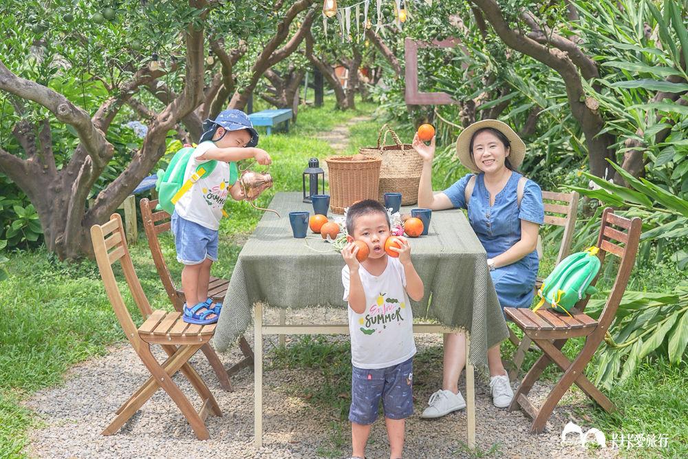 苗栗景點頭屋橙香森林，秒飛濟州島橘子園美食餐廳菜單下午茶