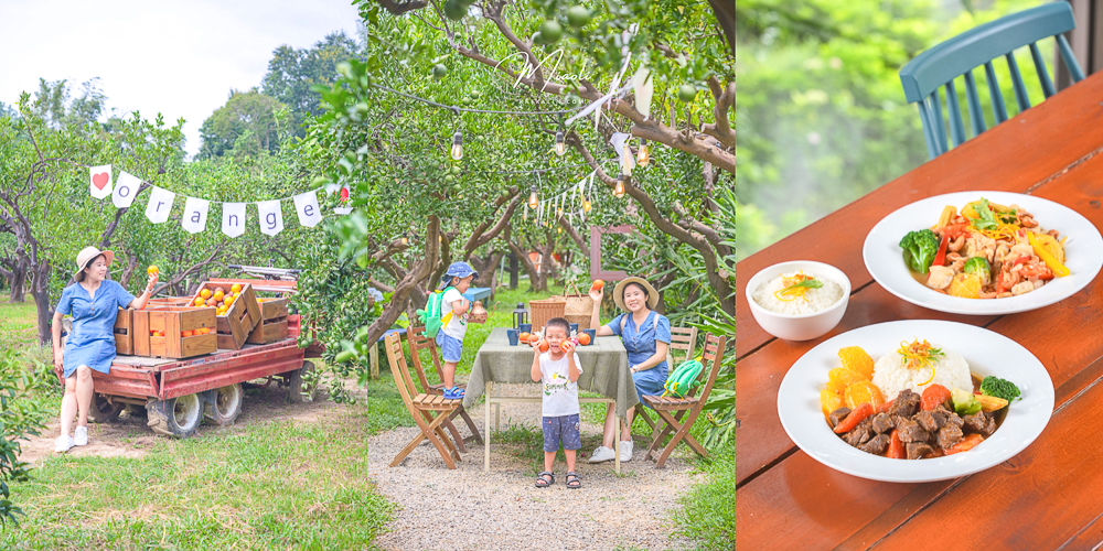苗栗景點頭屋橙香森林，秒飛濟州島橘子園美食餐廳菜單下午茶
