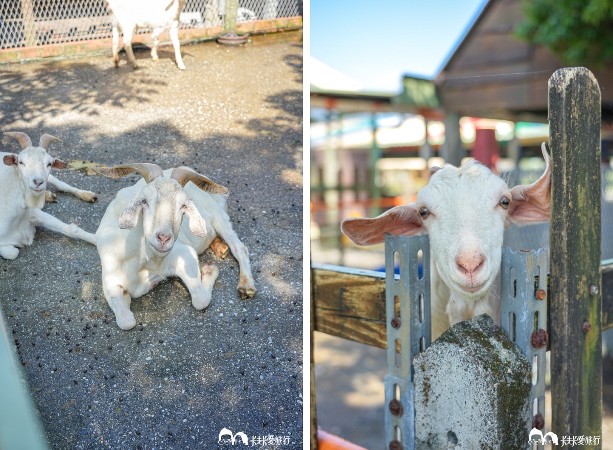 【宜蘭親子景點】廣興農場：焢土窯、餵動物、小豬彩繪必玩體驗美食午餐